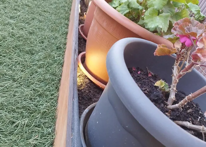 Lägenhet Oroel Beds & Dreams - Espectacular Planta Baja En Badaguas-pirineo *